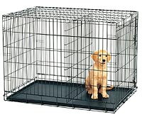 large dog crate with divider